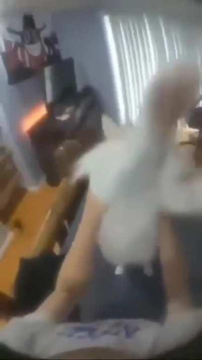 My future cat is doomed