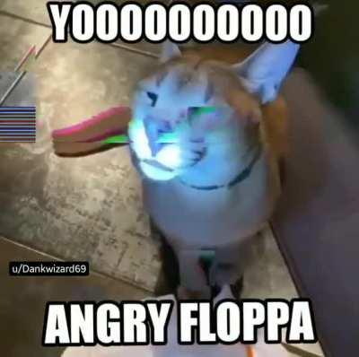 why is he angry 😡