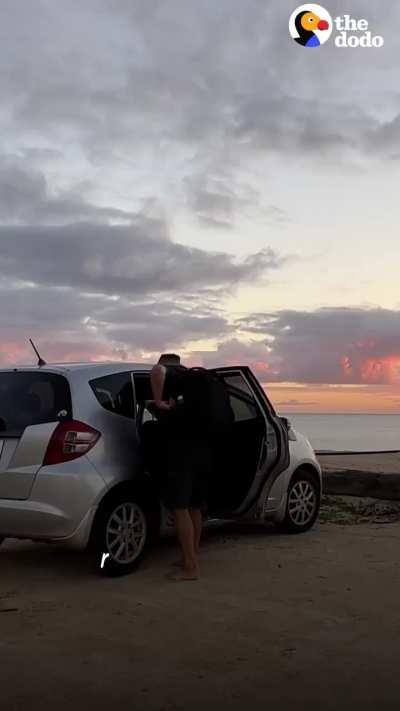 Hermit crabs who were living in plastic on the beach have the best reaction when this guy offers them new shells