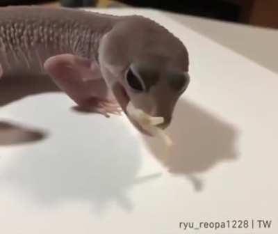 Taking off your socks at the end of a long day.