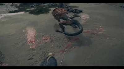 Chad Elden Ring player shows how it is done with precision, minimal movements and flamboyance.