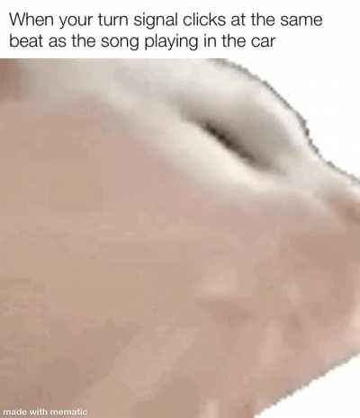 I don't know if this counts as wholesome but it makes me happy when it happens