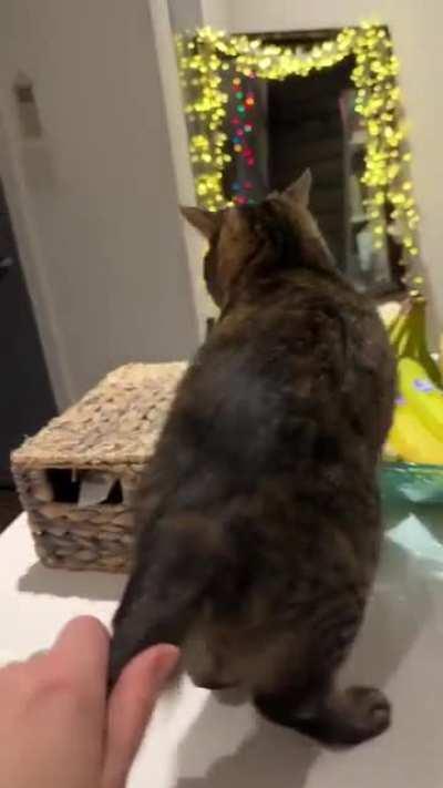 more footage of risen teostra hunt