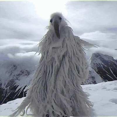 My master, he don’t talk much but he’s chill and cast mad spells.