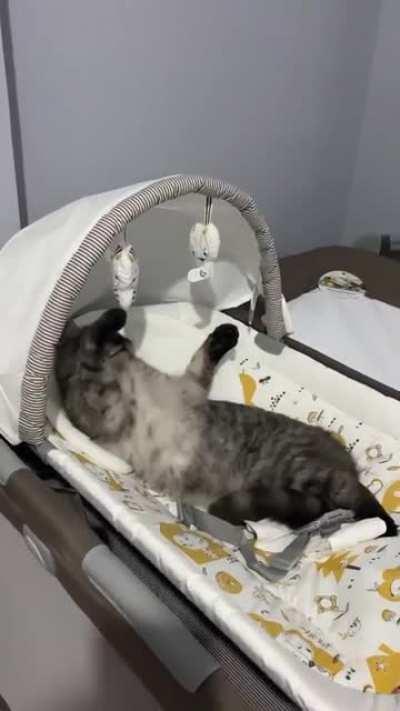 Testing the new crib