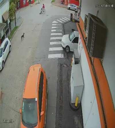 Ranchos: Ciclista es embestida por un ñandu en media calle