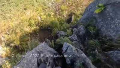 Climber fends off bear