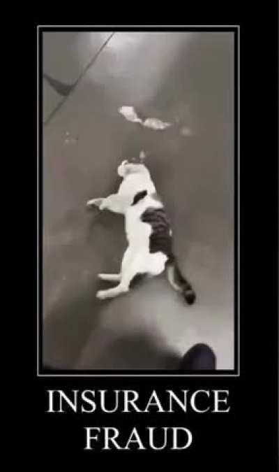 convicted felon rule