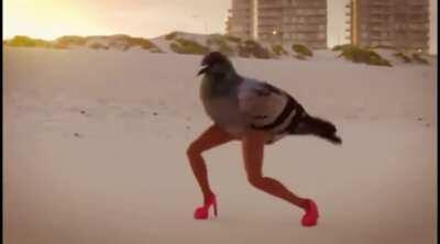 Romantic evening at sunset...