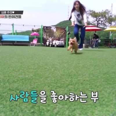 200608 - Happy Tzuyu happily chasing Boo