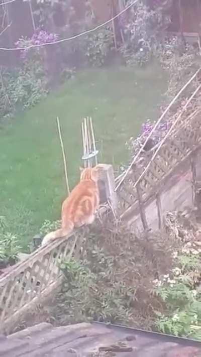 Quando vc entra num 'sub' ou num outro site com uma ideologia politica contaria a sua.