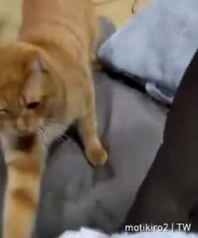 Some one play with him. Please