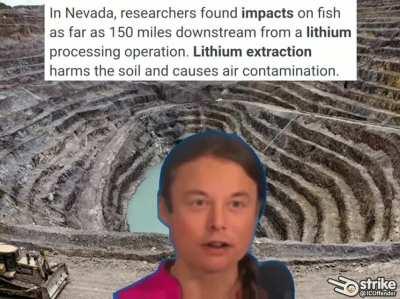 Thanks, I hate Greta Musk