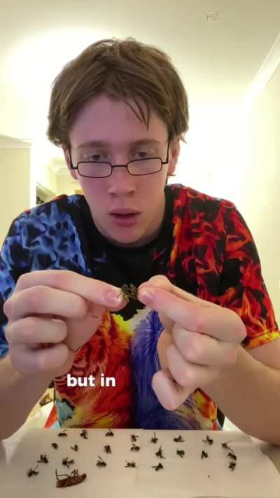 lock this guy up 😭