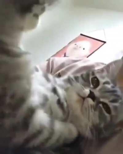 Любовь это...