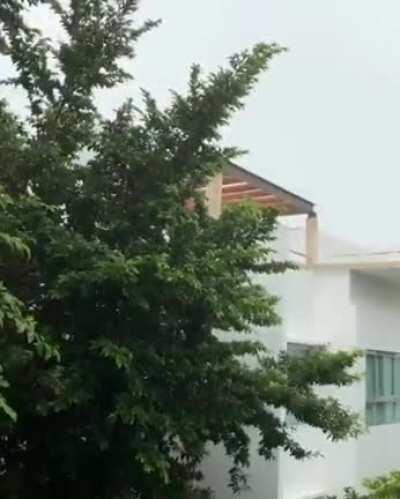 Tulum Mexico 🇲🇽