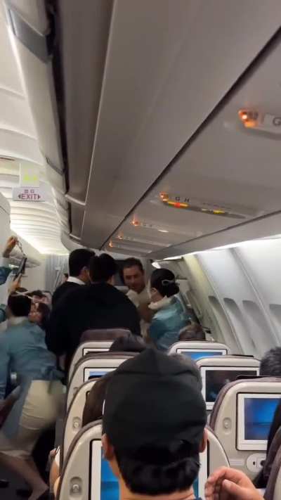 Man tries to open an emergency door on Korean Air flight