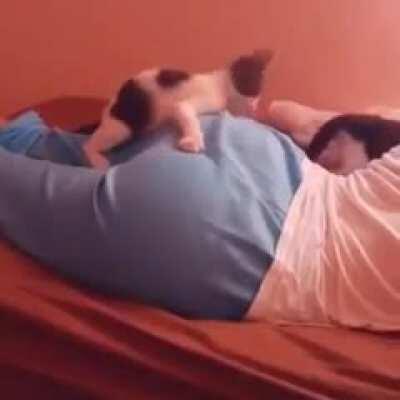 vai com calma lobo mau