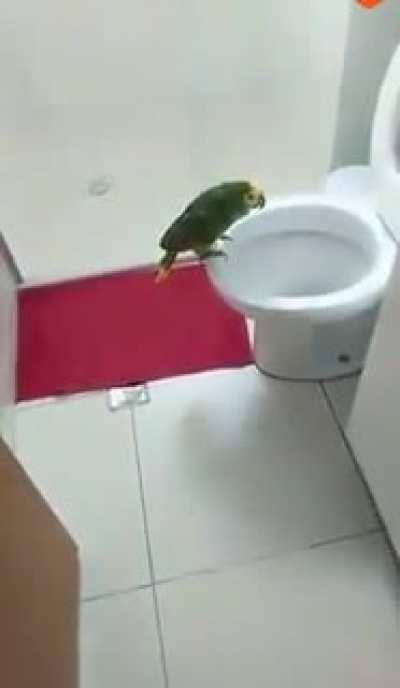 That’s a real talent