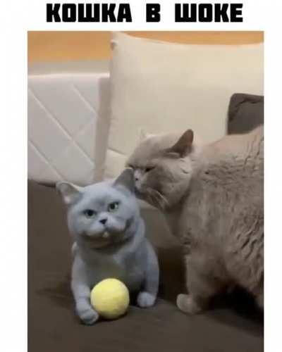 Была одна а стало две