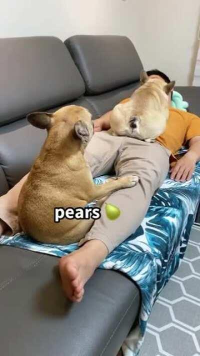 Guess what they want