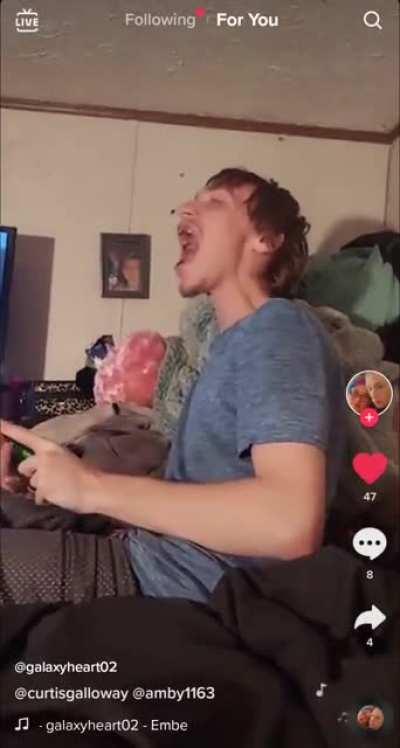 Stray cats at 3 AM be like