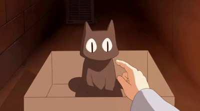 You named the cat Sakamoto?