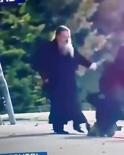 Сербский прист отгоняет дементора от протестующего