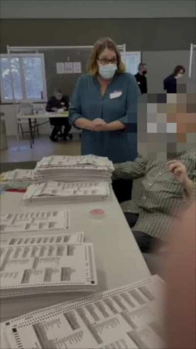 BUSTED: Michigan Secretary of State official asking to count illegal ballots with same signatures during audit