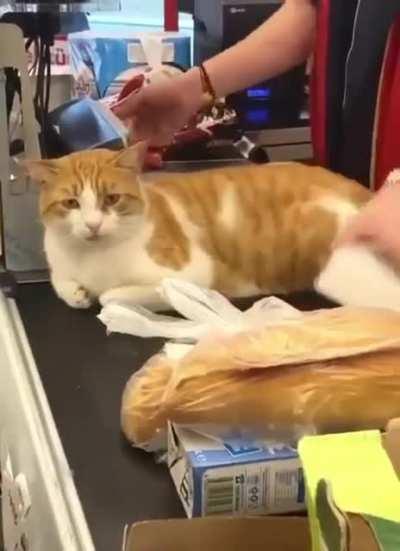 Security here. No cheating