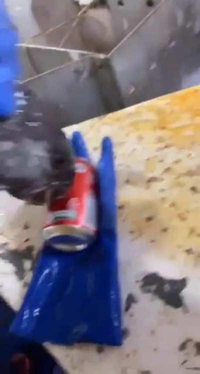 I wont mess around with this fish even with gloves on.