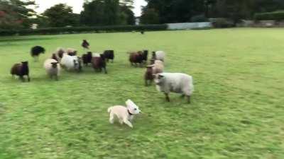 When you lie in your resume and get the job