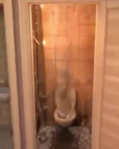 Baños de escuelas publicas be like: