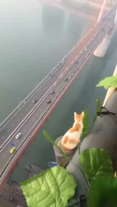 On the higher ground