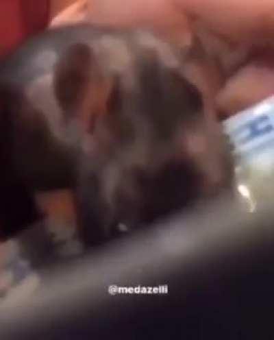 Ray it is a joke i promise