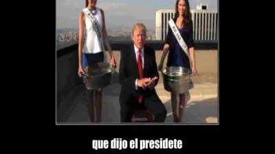 H O M E R S I M P S O N