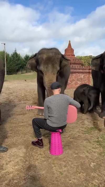 You got the best audience in the world!