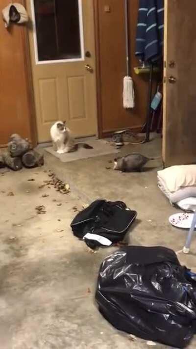 “Don’t mind if I do!”