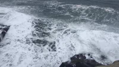 That one time I almost died 5 years ago (OC)