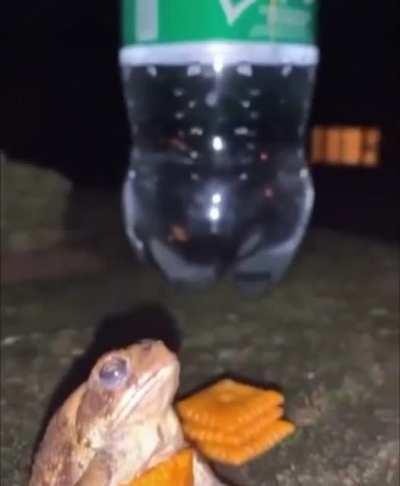 Anyone mind telling me the name of this song ???