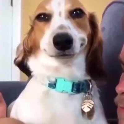 Eu acho isso assustador ou feliz?