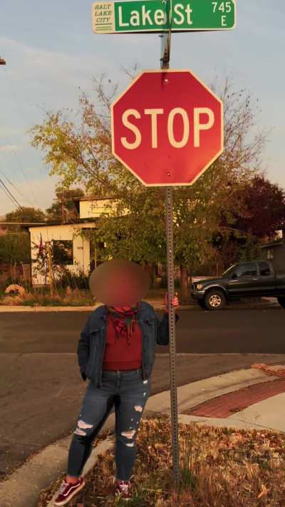 Stop, collaborate and listen