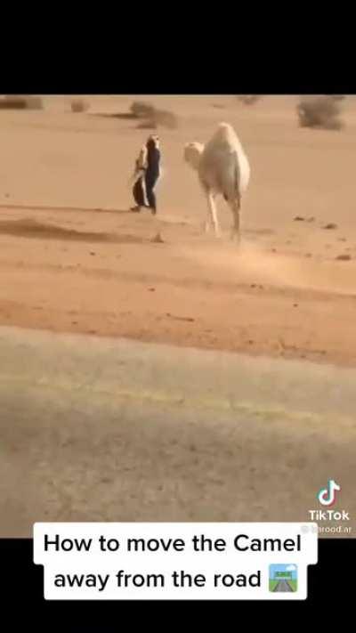 SLPT: When you want to remove an animal from the road pretend kidnapping their child