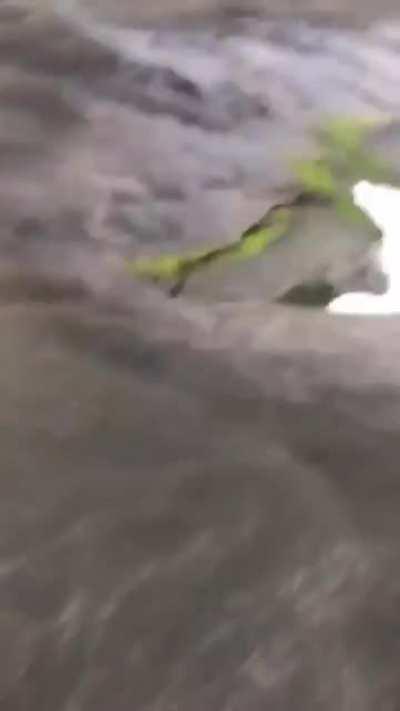 WCGW taking a closer look