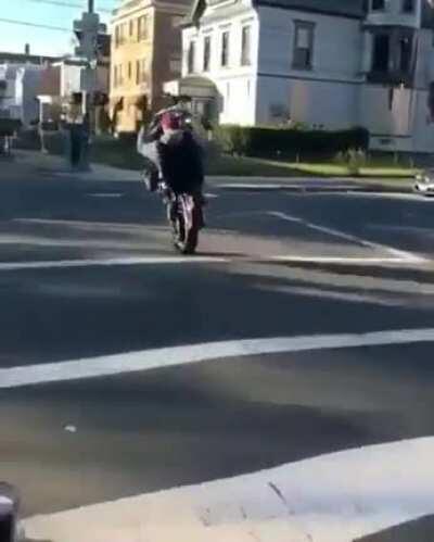 All about that Squid life.