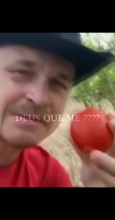 É TOMATE