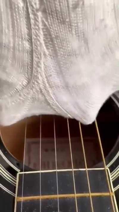 Thanks, I hate such concerts