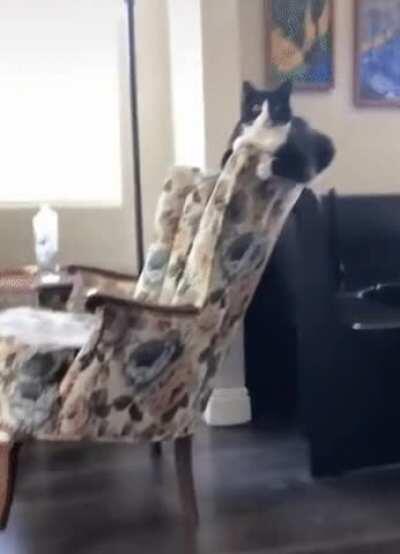 Echilibricat, master of space-time continuum.