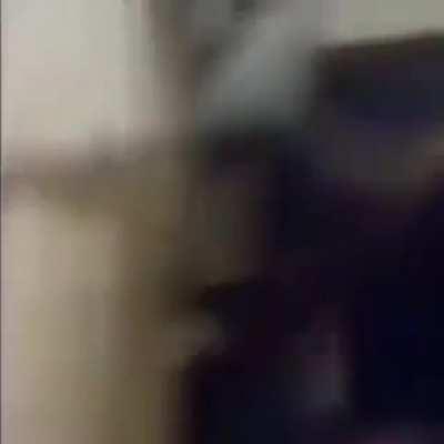 WCGW doing a backflip in a small room