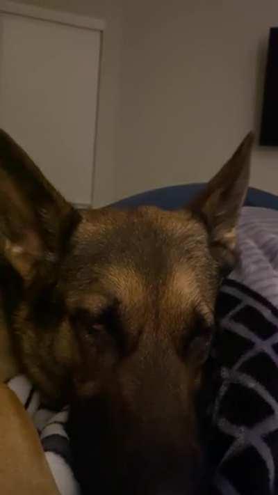 my baby fighting hard to stay awake